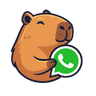 Soporte por WhatsApp